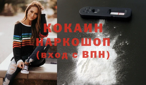 винт Осинники